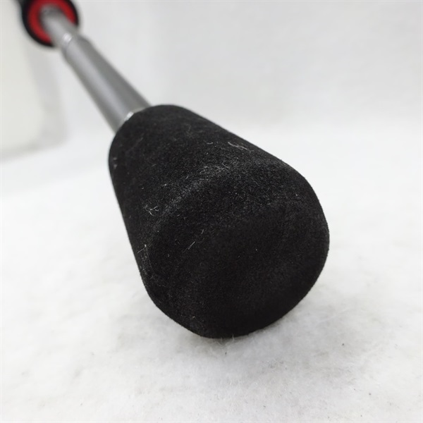 １９ＥＧＲＲＳ７９Ｍ